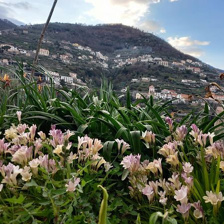 La Margherita Fiorita Ραβέλλο Εξωτερικό φωτογραφία