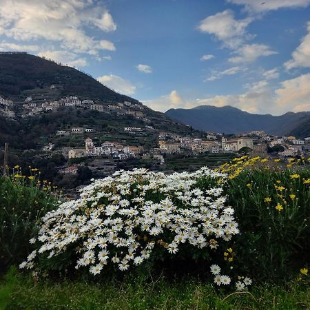 La Margherita Fiorita Ραβέλλο Εξωτερικό φωτογραφία