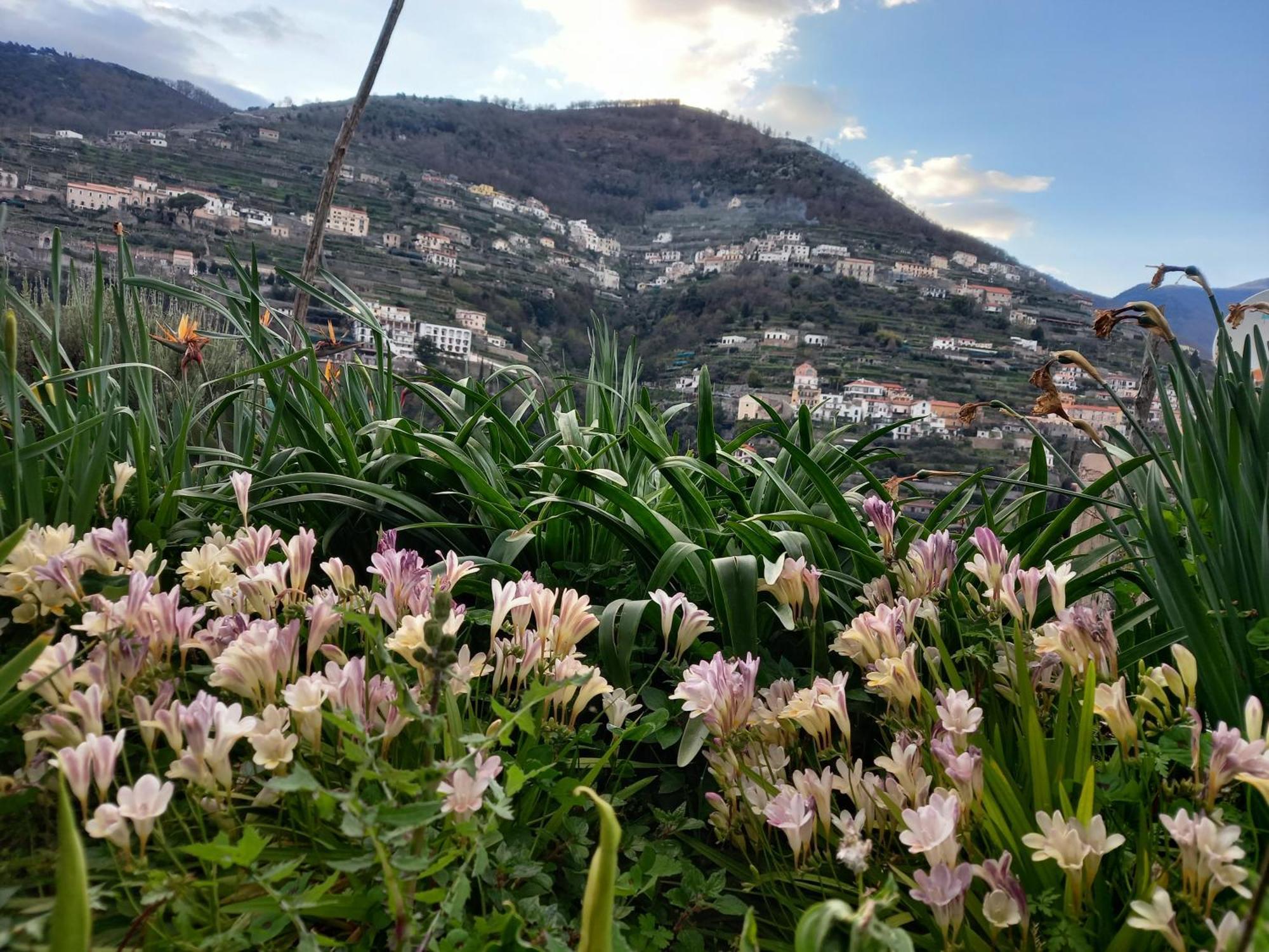 La Margherita Fiorita Ραβέλλο Εξωτερικό φωτογραφία