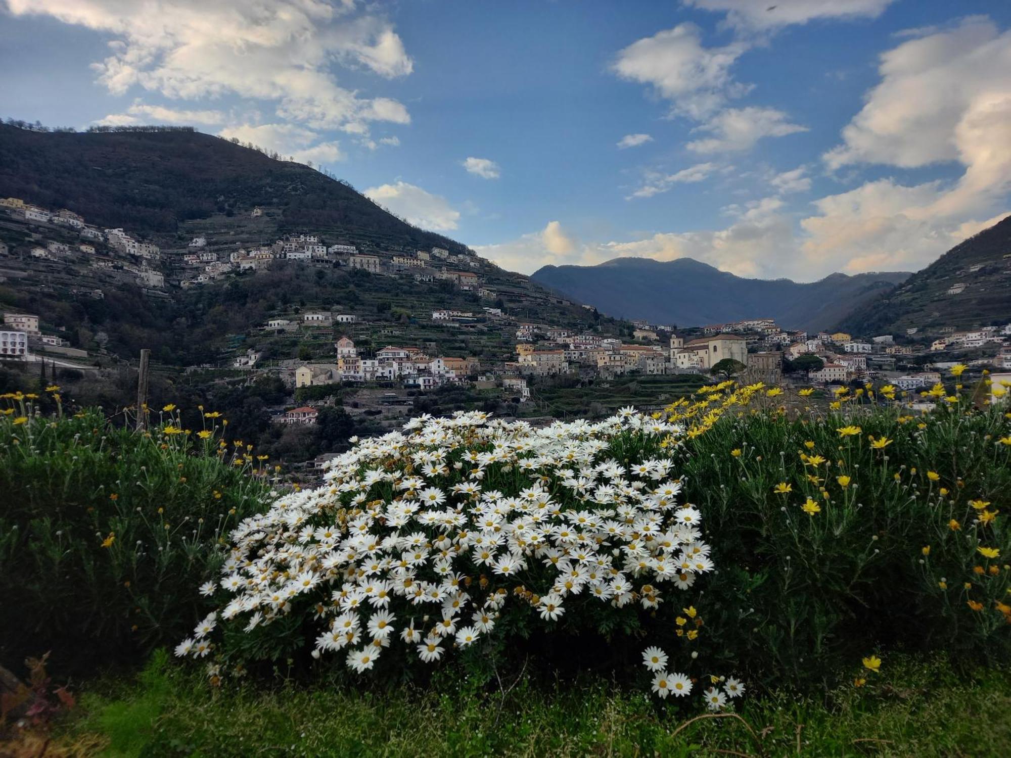 La Margherita Fiorita Ραβέλλο Εξωτερικό φωτογραφία